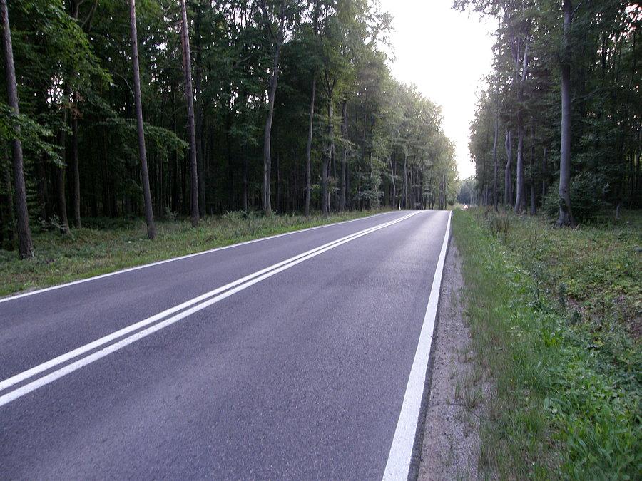 Droga między Olkuszem a Trzebinią