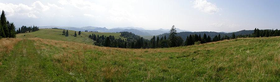 Widoczki