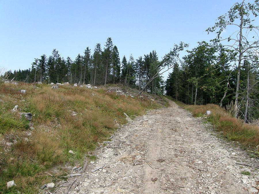 Czarny szlak narciarski