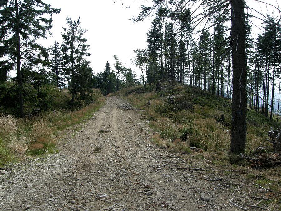 Czarny szlak narciarski