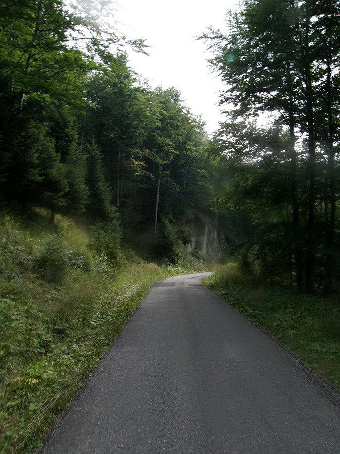 Podjazd na Przehybę