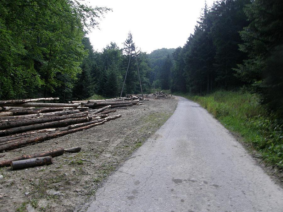 Podjazd na Przehybę