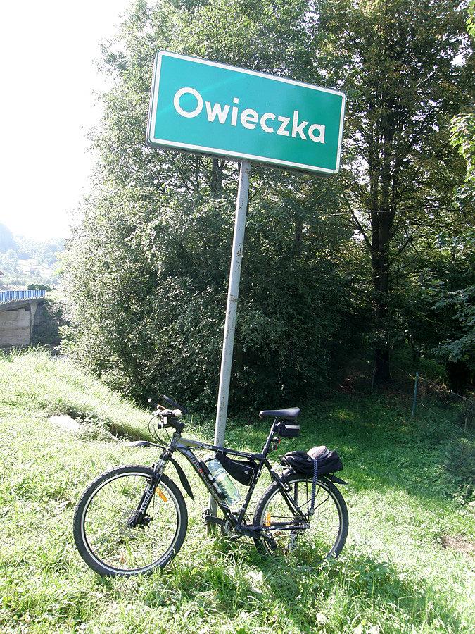 Owieczka ;)