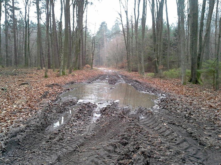 Rozgrzewka pełna atrakcji