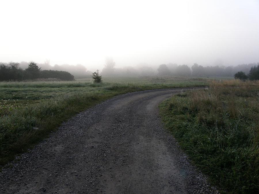 Mgła za Skawiną