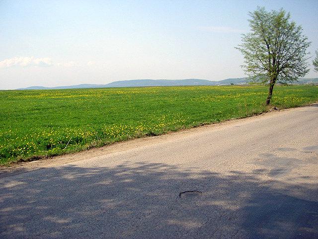 I tu też