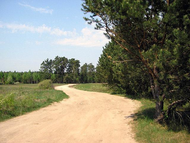 Piaszczysta szutrówka