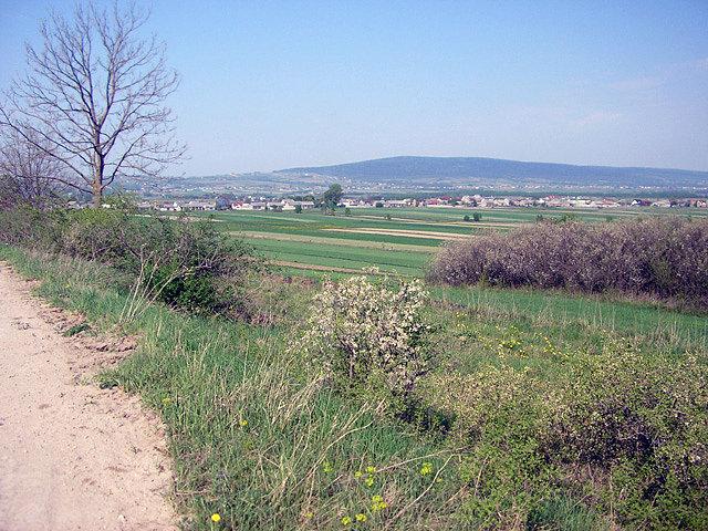 Pierwsze widoki na Góry Świętokrzyskie