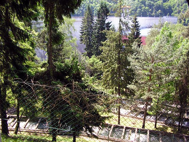 Zapora Rożnowska
