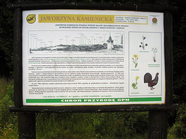 Polana Jaworzyna Kamienicka
