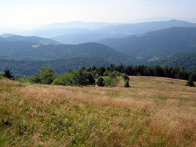 Widok z Polany Stumorgowej