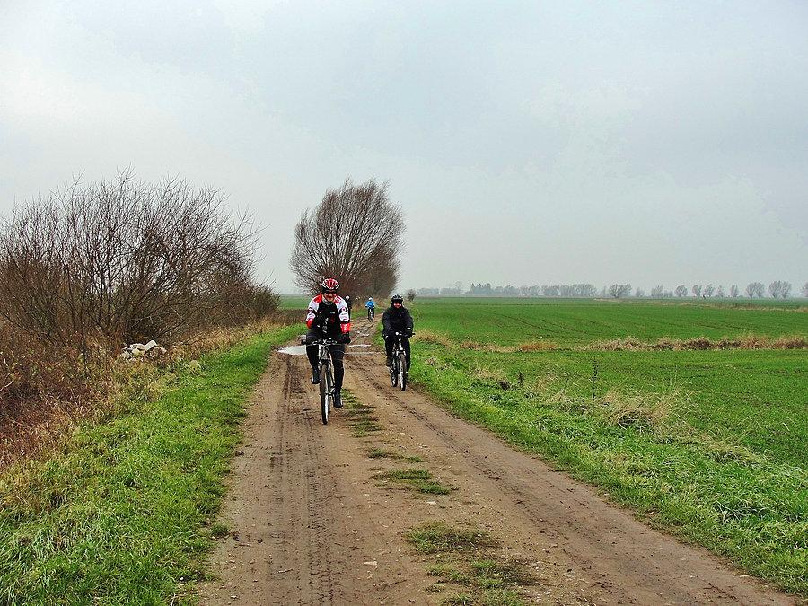 Szlak Domów Podcieniowych - Żuławy Gdańskie