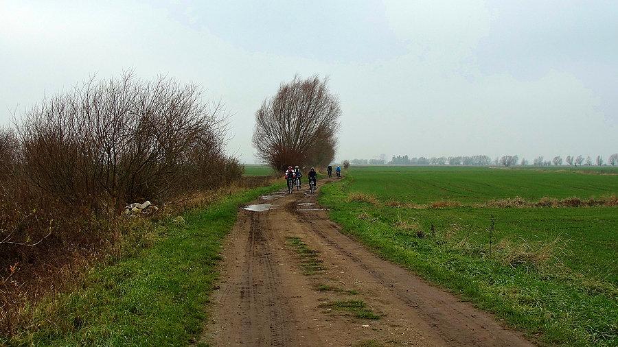 Szlak Domów Podcieniowych - Żuławy Gdańskie