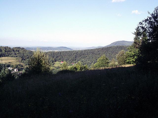 Widok na północ