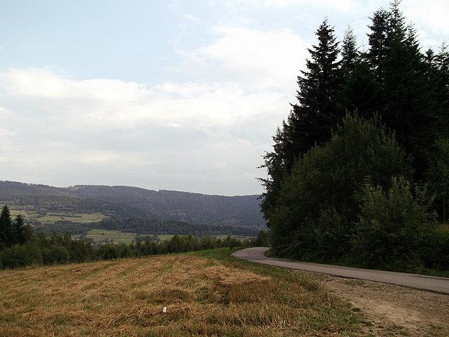 Widoków nie ma stąd żadnych