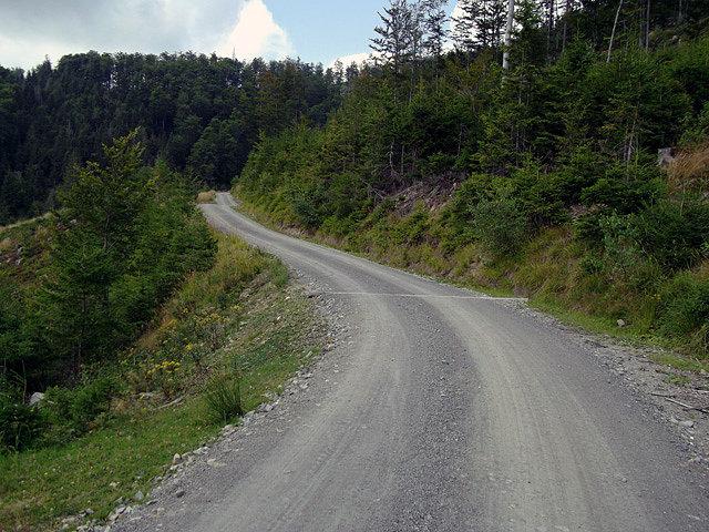 Piękna szutrówka