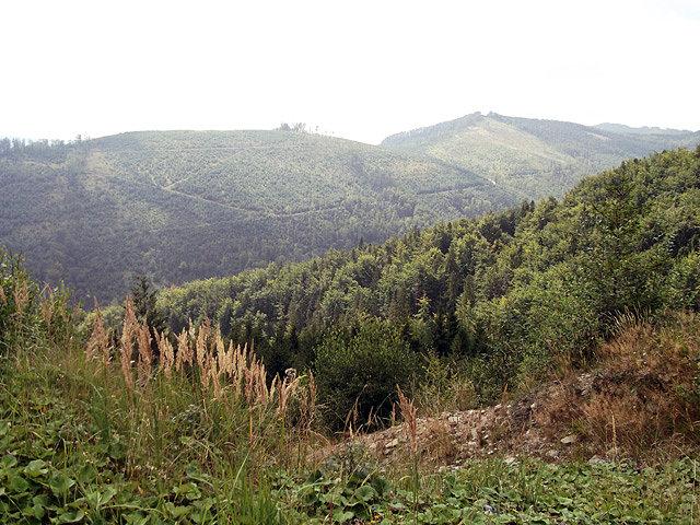 Widoki po drodze