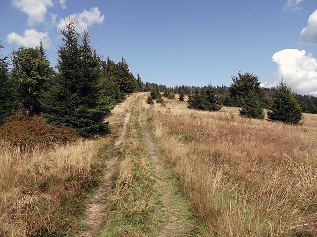 Polana Zielenica