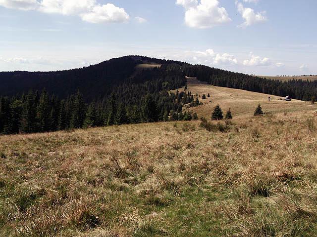 Hala Długa - widać schronisko pod Turbaczem
