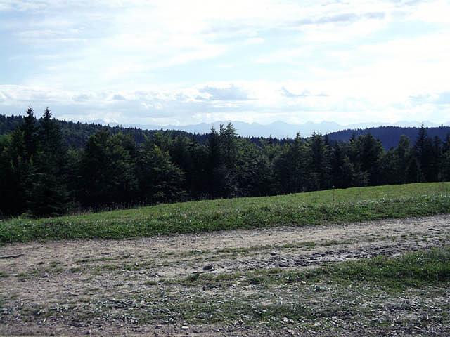 Znowu Tatry