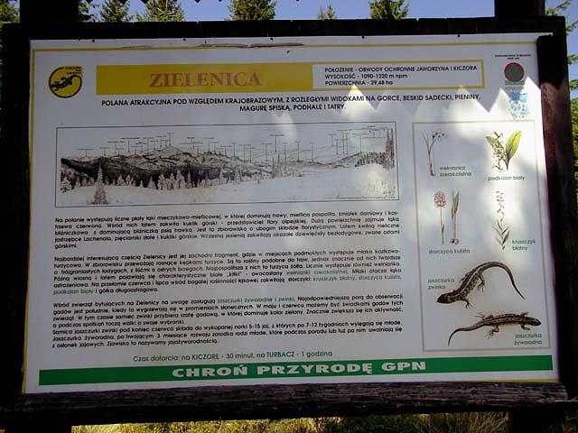 Polana Zielenica