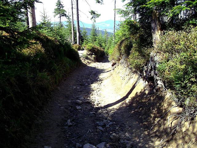 Czerwony szlak
