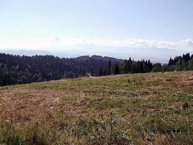 Tatry