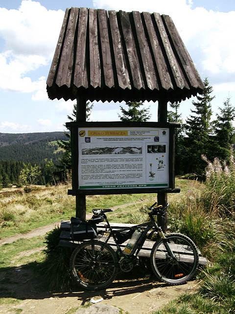 Czoło Turbacza (1259 m n.p.m.)