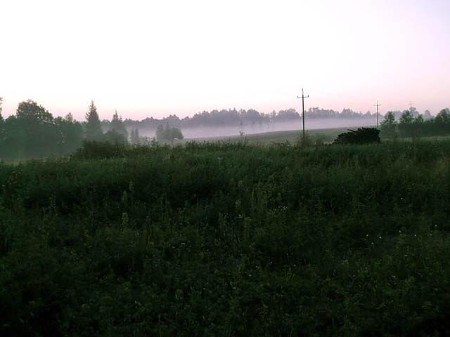Poranne mgły