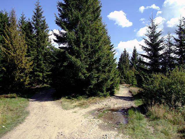 Czerwony szlak