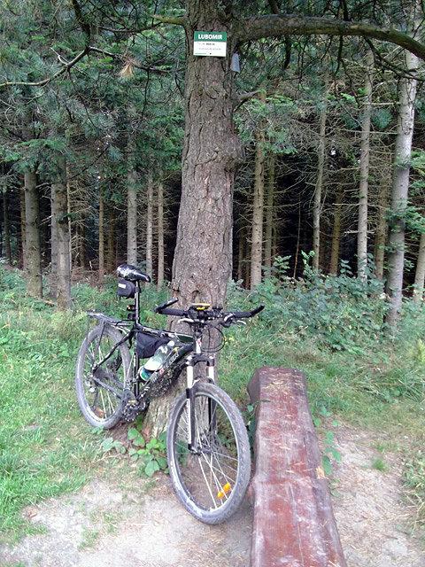 Lubomir (904 m n.p.m.) - wg autorów Korony Gór Polski najwyższy szczyt Beskidu Makowskiego, wg geografów zaś szczyt ten należy do Beskidu Wyspowego