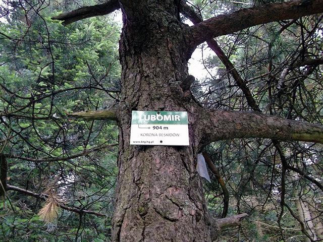 Lubomir