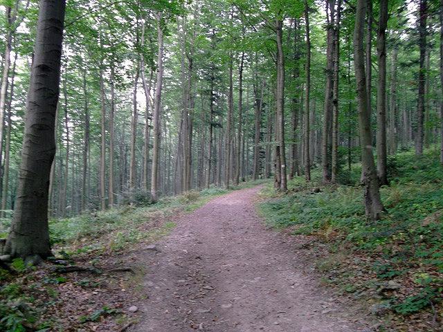 Czerwony szlak (Mały Szlak Beskidzki)