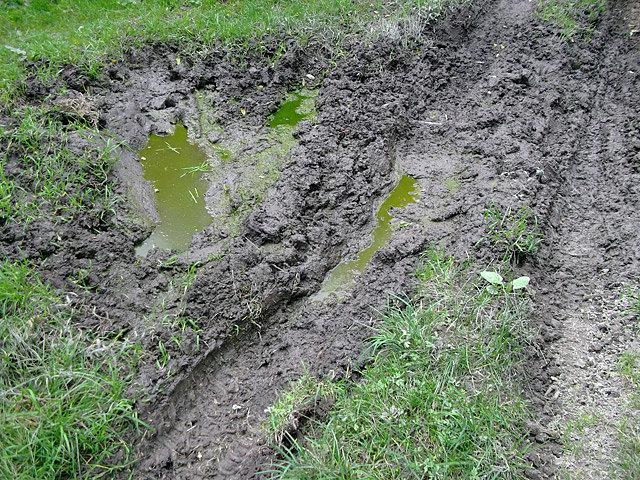 Błotko