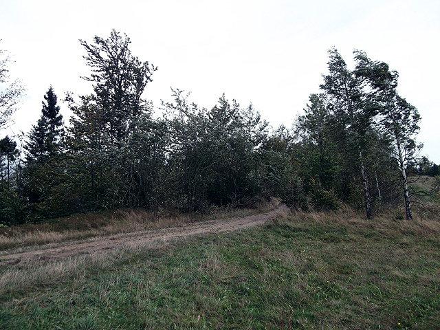 Wiało potężnie