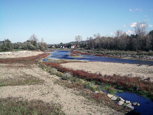 Rzeka Raba