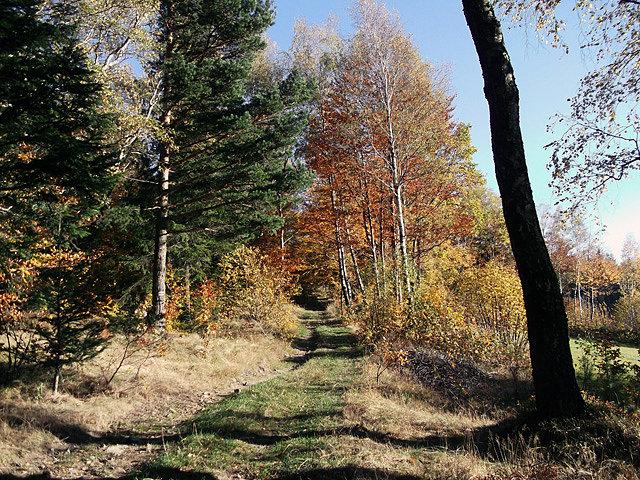 Na szlaku