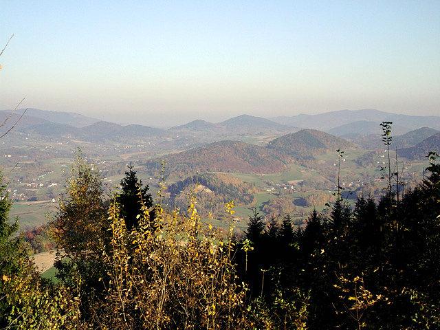 Widoczki