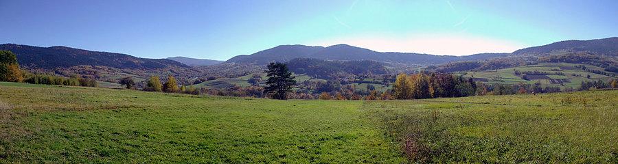 Widoczki