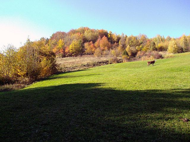 Jakaś górka