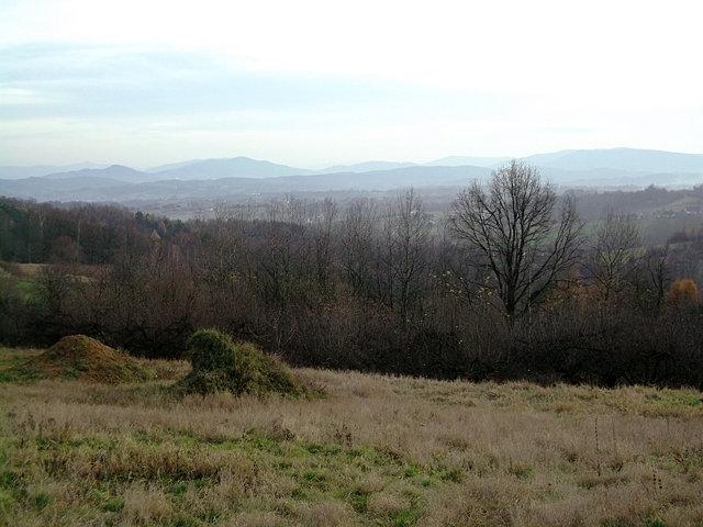 Widoczki