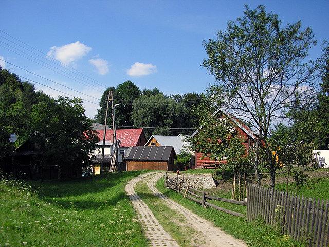 Żółty szlak