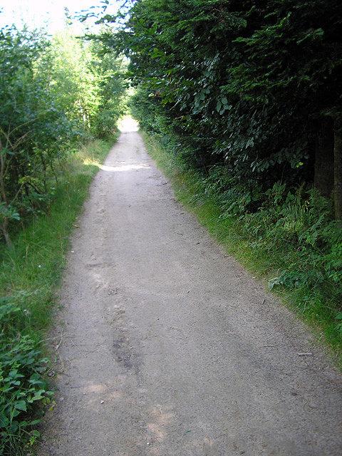Żółty szlak