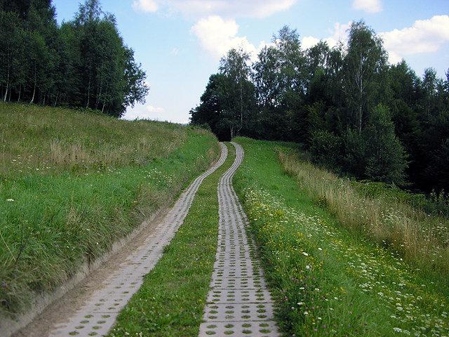 Żółty szlak