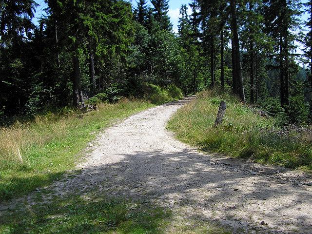 Na szlaku