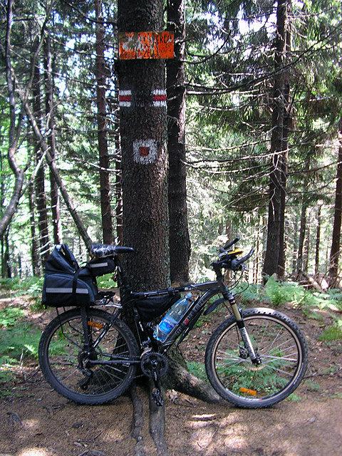 Złomisty Wierch 1224 m n.p.m