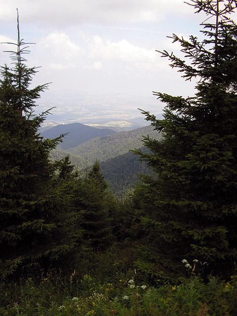 Widok z Przehyby