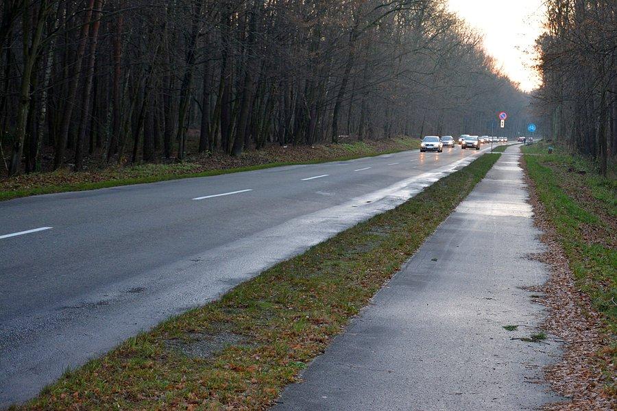 Leśna DDR na ul. Osmolickiej w Lublinie