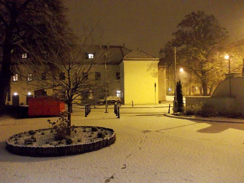 Poranek na biało :)