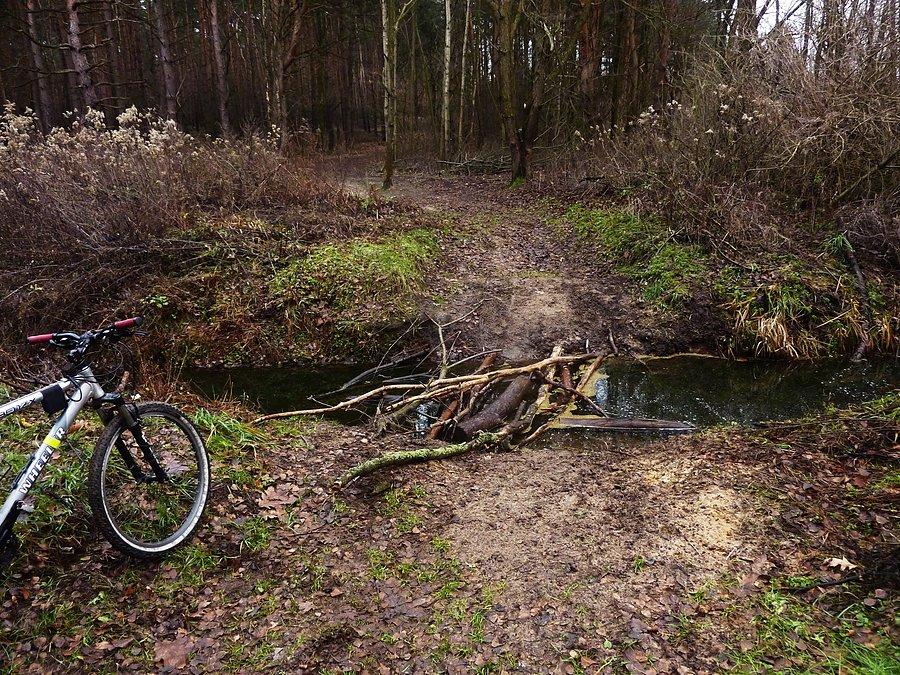 Pogłębili rów ale o mostku już zapomnieli. Kampinoski PN